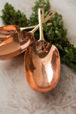 Copper Measuring Scoops - Temporarily Sold Out- Email Us For Wait List