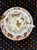 Orange Butterfly Surprise Teacups - set of four