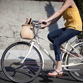 Adult bike shops basket