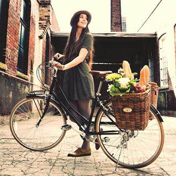 Pannier shops basket